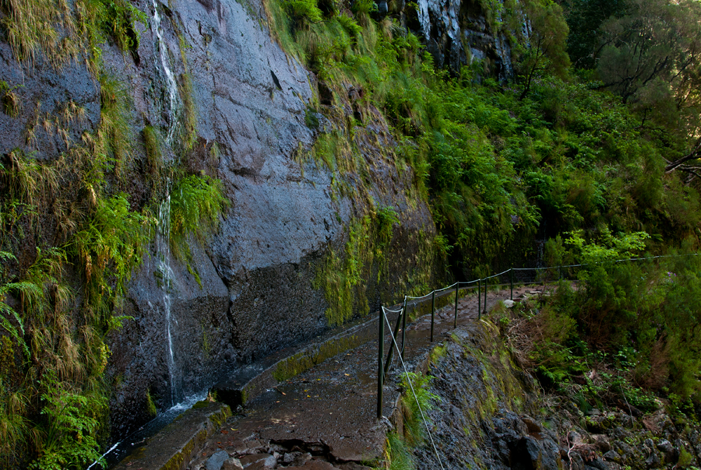437_Madera_Levada Risco.jpg